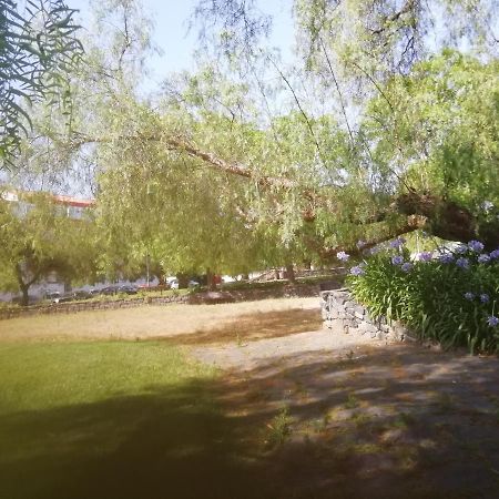 شقة Casa Do Jardim باجة المظهر الخارجي الصورة