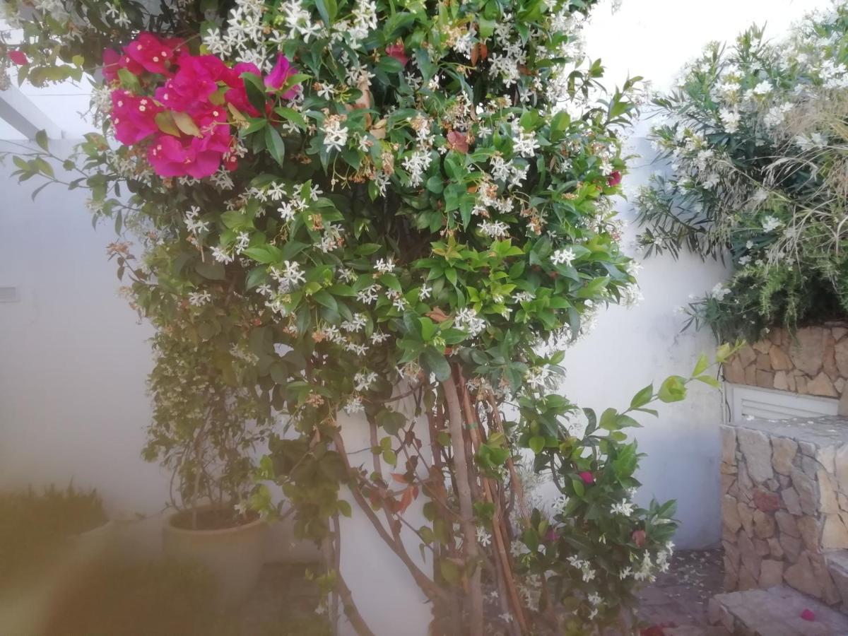 شقة Casa Do Jardim باجة المظهر الخارجي الصورة