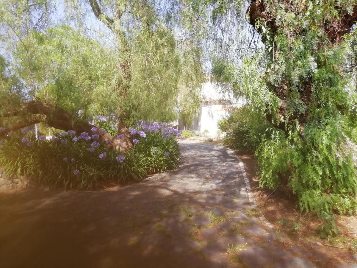 شقة Casa Do Jardim باجة المظهر الخارجي الصورة